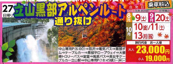 6月16日折込チラシより