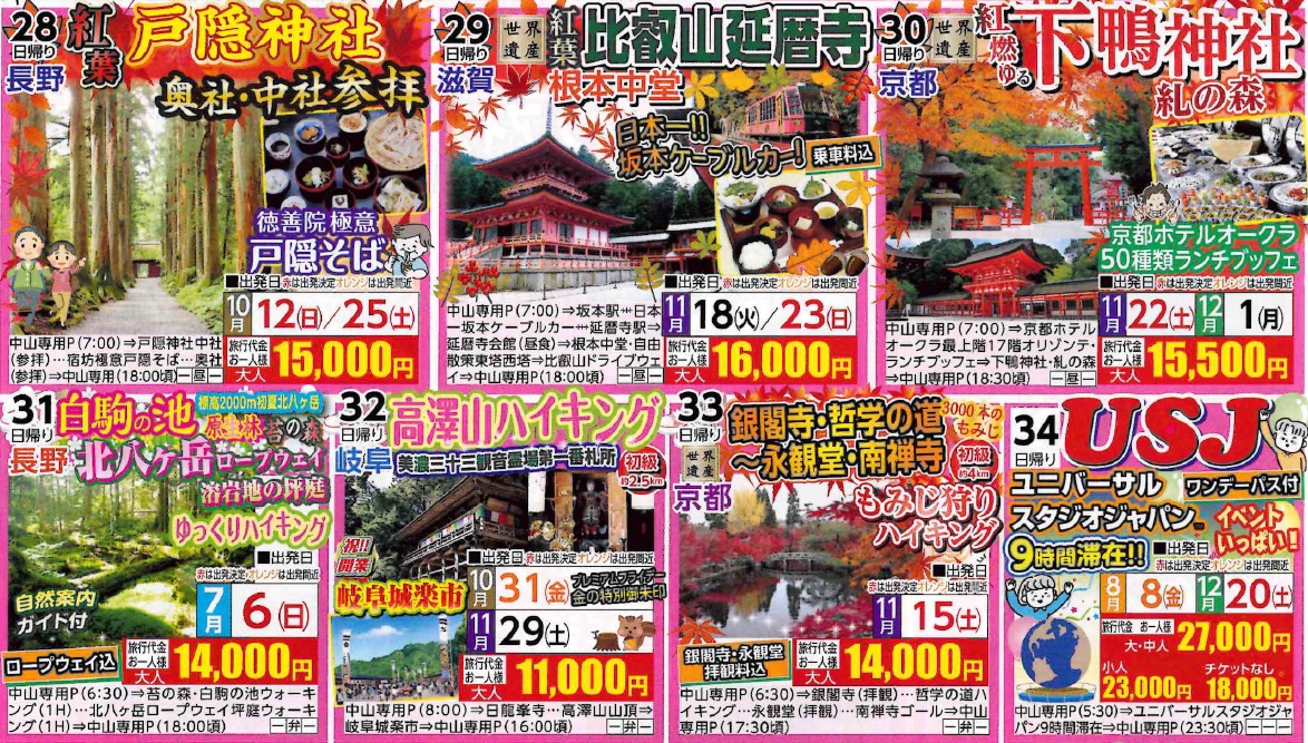 6月16日折込チラシより