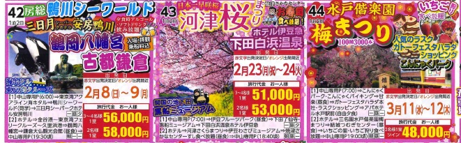 11月10日折込チラシより