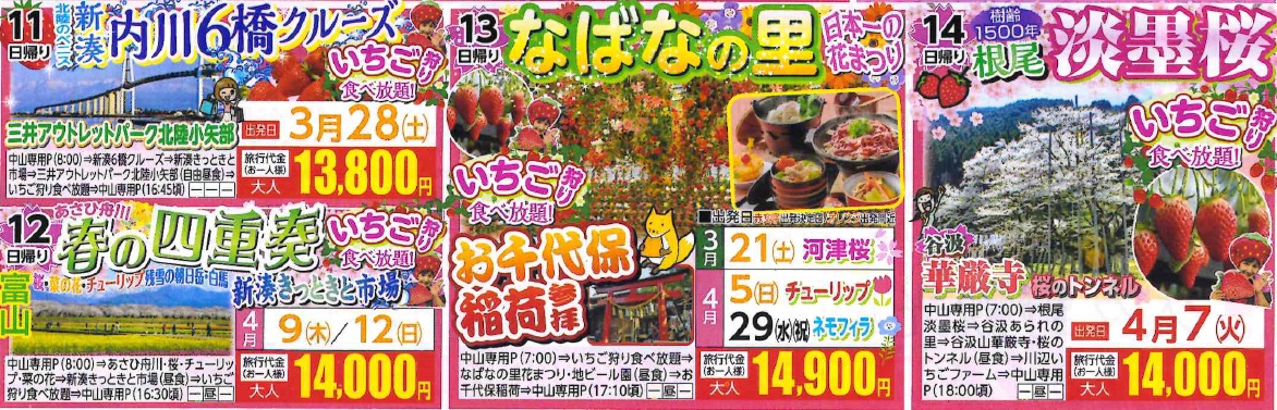 2月1日折込チラシより