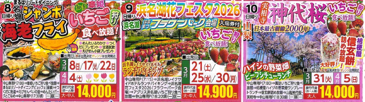 2月1日折込チラシより